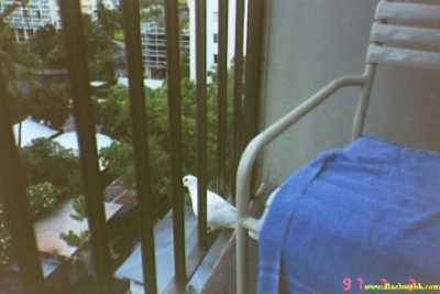 23_24A.jpg