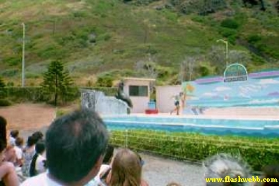 2597.jpg