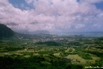 Filename=10__7A.jpg
Filesize=72KiB
Dimensions=400x267
Date added=Apr 12, 2004 10__7A.jpg