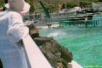 Filename=10__8.jpg
Filesize=88KiB
Dimensions=400x267
Date added=Apr 12, 2004 10__8.jpg
