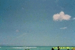 115.jpg