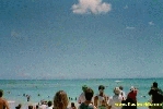117.jpg