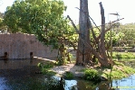 Filename=11__8.jpg
Filesize=97KiB
Dimensions=400x267
Date added=Apr 12, 2004 11__8.jpg