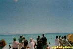 120.jpg