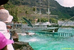 Filename=12_10.jpg
Filesize=93KiB
Dimensions=400x267
Date added=Apr 12, 2004 12_10.jpg