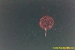 135.jpg