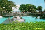 Filename=1897.jpg
Filesize=107KiB
Dimensions=400x267
Date added=Apr 12, 2004 1897.jpg