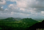 197.jpg