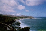 Filename=20_17A.jpg
Filesize=70KiB
Dimensions=400x267
Date added=Apr 12, 2004 20_17A.jpg
