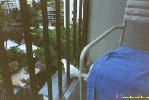 Filename=23_24A.jpg
Filesize=74KiB
Dimensions=400x267
Date added=Apr 12, 2004 23_24A.jpg