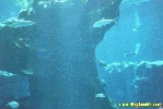 2497.jpg