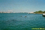 Filename=5.jpg
Filesize=59KiB
Dimensions=400x267
Date added=Apr 12, 2004 5.jpg