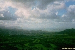 597.jpg