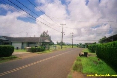 27398.jpg