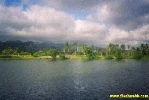 Filename=19198.jpg
Filesize=62KiB
Dimensions=400x267
Date added=Apr 12, 2004 19198.jpg