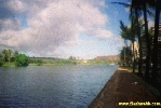Filename=19298.jpg
Filesize=64KiB
Dimensions=400x267
Date added=Apr 12, 2004 19298.jpg