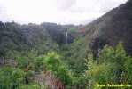 Filename=19898.jpg
Filesize=76KiB
Dimensions=400x267
Date added=Apr 12, 2004 19898.jpg