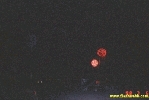 22498.jpg