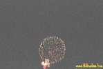 22698.jpg