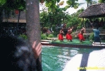 Filename=23498.jpg
Filesize=77KiB
Dimensions=400x267
Date added=Apr 12, 2004 23498.jpg