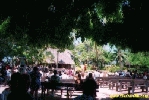 Filename=24698.jpg
Filesize=82KiB
Dimensions=400x267
Date added=Apr 12, 2004 24698.jpg