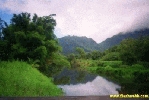 Filename=26298.jpg
Filesize=66KiB
Dimensions=400x267
Date added=Apr 12, 2004 26298.jpg
