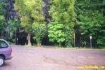 Filename=26398.jpg
Filesize=88KiB
Dimensions=400x267
Date added=Apr 12, 2004 26398.jpg