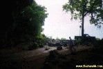 Filename=26798.jpg
Filesize=60KiB
Dimensions=400x267
Date added=Apr 12, 2004 26798.jpg
