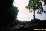 Filename=26898.jpg
Filesize=61KiB
Dimensions=400x267
Date added=Apr 12, 2004 26898.jpg