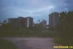 4898.jpg