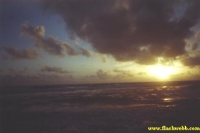 20013.jpg