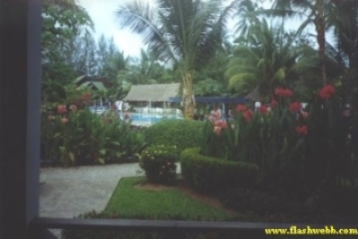 20036.jpg