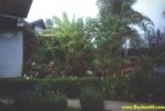 20032.jpg