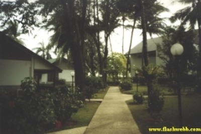 2001101.jpg