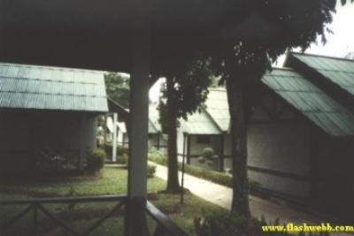 2001106.jpg