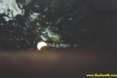 2001126.jpg