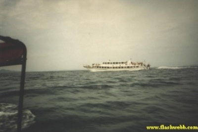 2001136.jpg