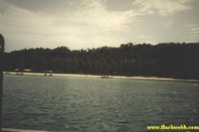 2001138.jpg