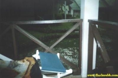 200173.jpg