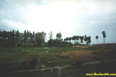 200184.jpg