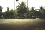 2001103.jpg