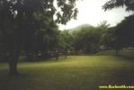200197.jpg
