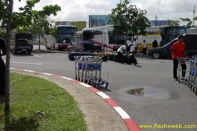 PICT0781.jpg