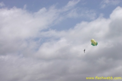 PICT0821.jpg
