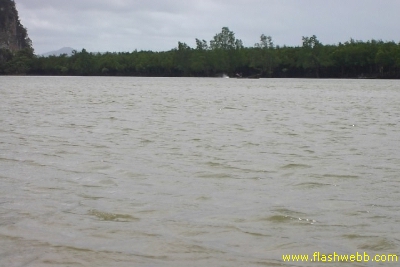 PICT0852.jpg
