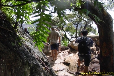 PICT0887.jpg