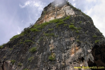 PICT0890.jpg