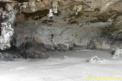 PICT0904.jpg