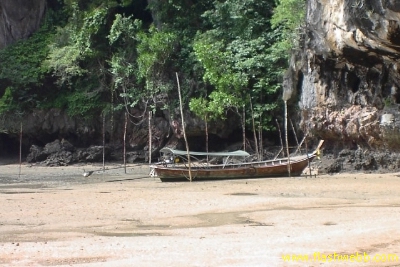 PICT0908.jpg