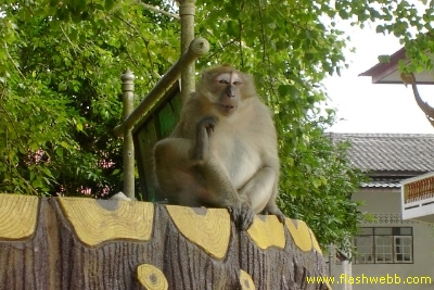 PICT0924.jpg
